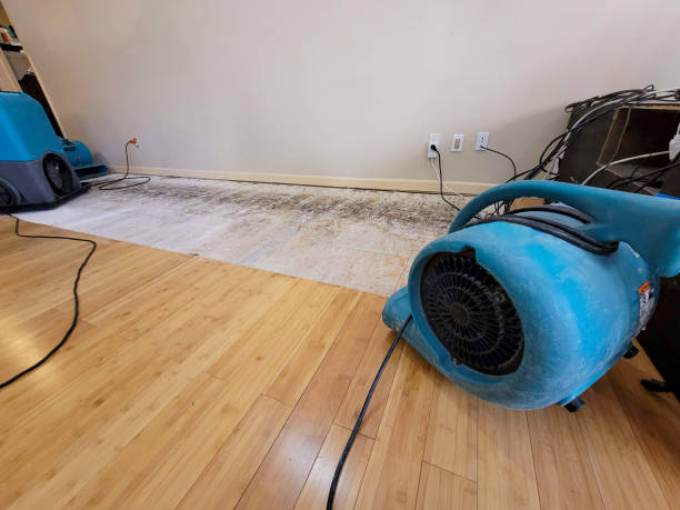 Professional Water Damage Repair technician working in Graniteville, SC